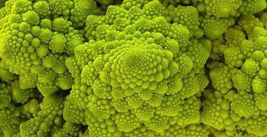 Broccolo-Romanesco